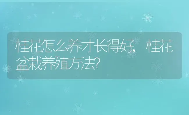 桂花怎么养才长得好,桂花盆栽养殖方法？ | 养殖科普