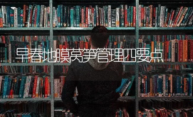 早春地膜莴笋管理四要点 | 养殖技术大全