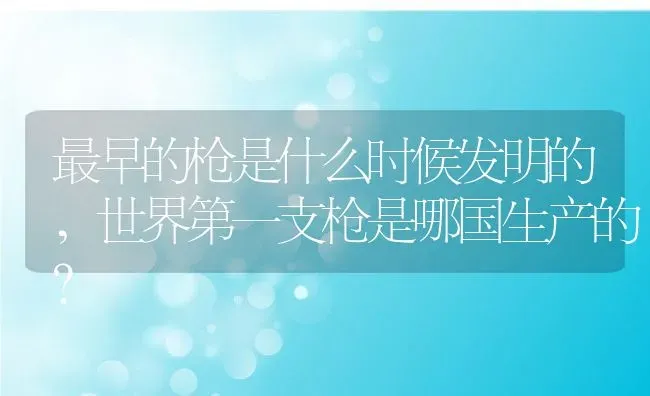 最早的枪是什么时候发明的,世界第一支枪是哪国生产的？ | 养殖科普