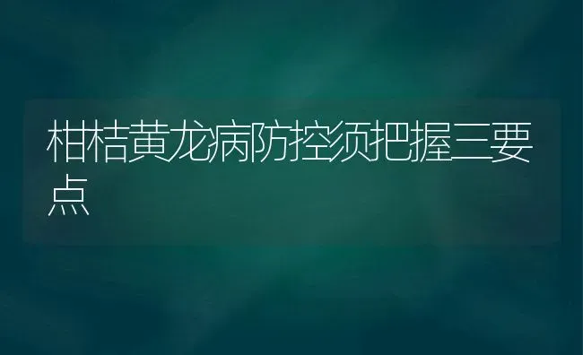 柑桔黄龙病防控须把握三要点 | 养殖知识