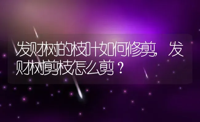 发财树的枝叶如何修剪,发财树剪枝怎么剪？ | 养殖科普