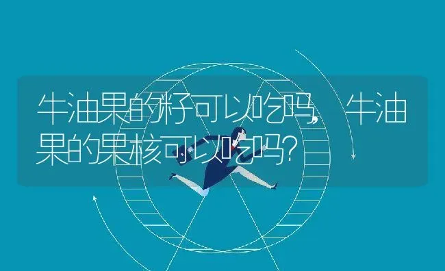 牛油果的籽可以吃吗,牛油果的果核可以吃吗？ | 养殖科普