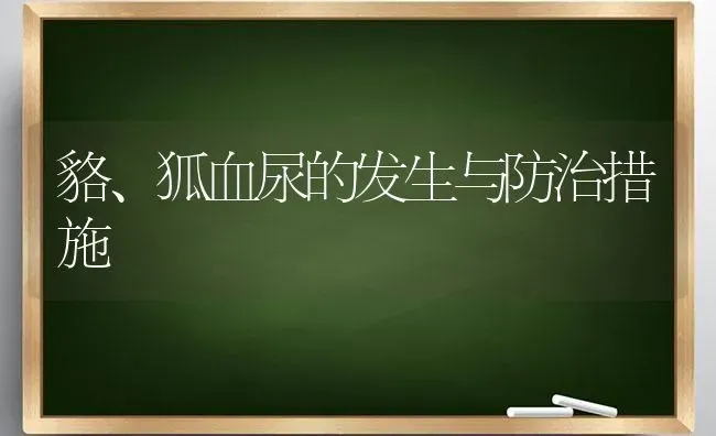 貉、狐血尿的发生与防治措施 | 养殖知识