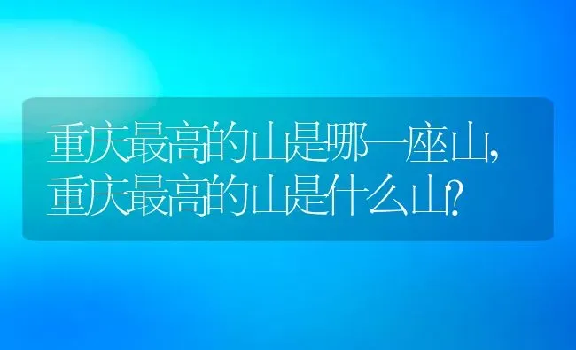 重庆最高的山是哪一座山,重庆最高的山是什么山？ | 养殖科普