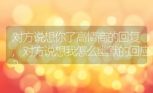 对方说想你了高情商的回复,对方说想我怎么幽默的回应？ | 养殖科普