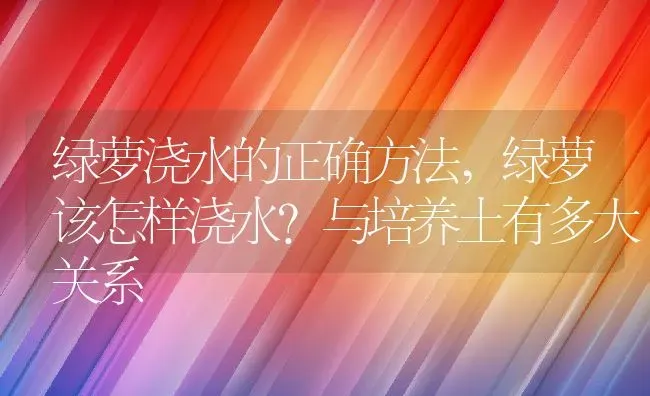 绿萝浇水的正确方法,绿萝该怎样浇水？与培养土有多大关系 | 养殖学堂