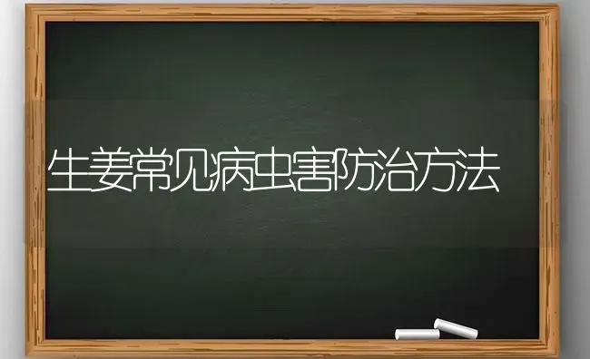 番茄筋腐病无公害防治技术 | 养殖技术大全