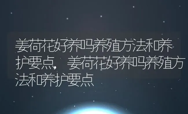 姜荷花好养吗养殖方法和养护要点,姜荷花好养吗养殖方法和养护要点 | 养殖科普