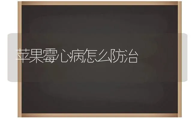 冰糖橘的嫁接方法有哪些 | 养殖技术大全