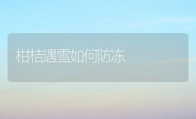 柑桔遇雪如何防冻 | 养殖技术大全