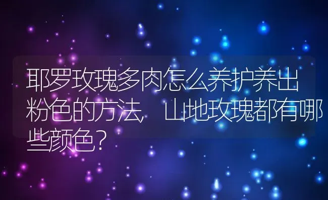 耶罗玫瑰多肉怎么养护养出粉色的方法,山地玫瑰都有哪些颜色？ | 养殖科普