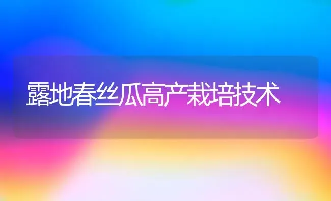 露地春丝瓜高产栽培技术 | 养殖技术大全