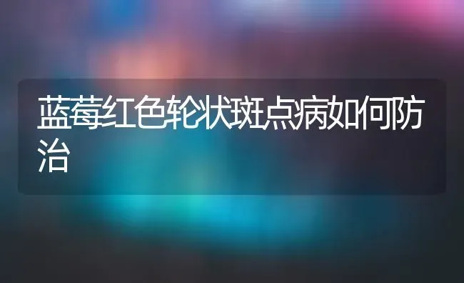 蓝莓红色轮状斑点病如何防治 | 养殖技术大全