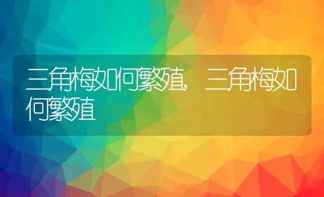 三角梅如何繁殖,三角梅如何繁殖 | 养殖科普