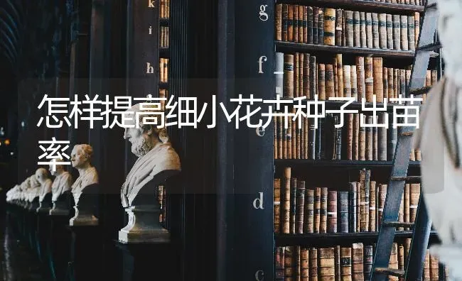 怎样提高细小花卉种子出苗率 | 养殖技术大全
