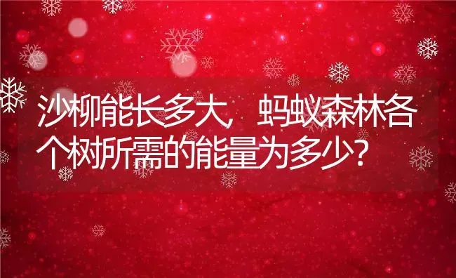 沙柳能长多大,蚂蚁森林各个树所需的能量为多少？ | 养殖科普