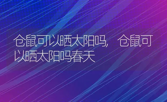 仓鼠可以晒太阳吗,仓鼠可以晒太阳吗春天 | 养殖科普