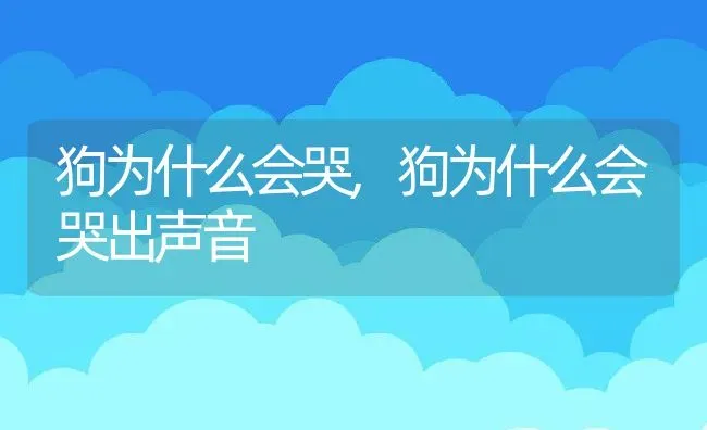 狗为什么会哭,狗为什么会哭出声音 | 养殖科普