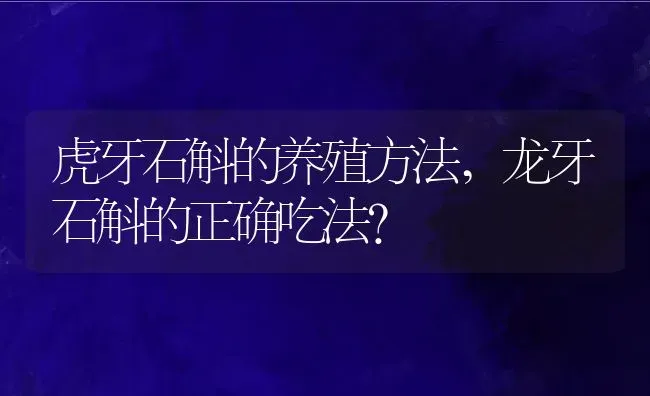 虎牙石斛的养殖方法,龙牙石斛的正确吃法？ | 养殖科普