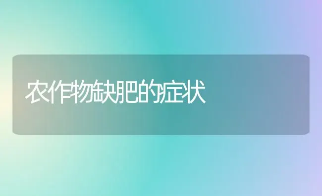 农作物缺肥的症状 | 养殖技术大全