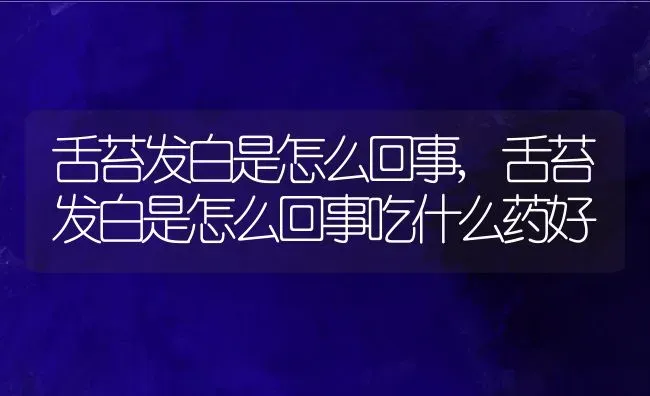 舌苔发白是怎么回事,舌苔发白是怎么回事吃什么药好 | 养殖资料