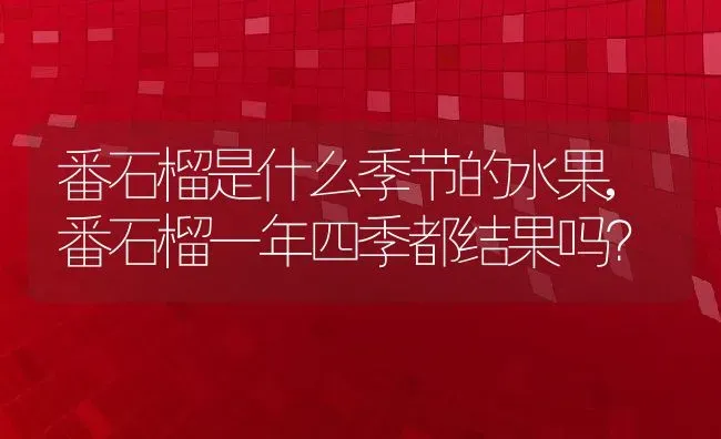 番石榴是什么季节的水果,番石榴一年四季都结果吗？ | 养殖科普