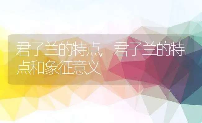 君子兰的特点,君子兰的特点和象征意义 | 养殖科普