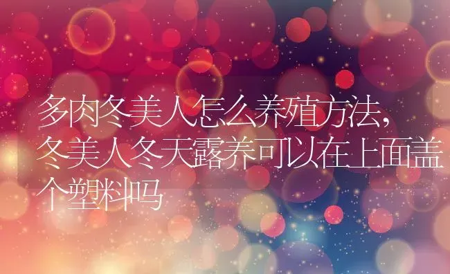 多肉冬美人怎么养殖方法,冬美人冬天露养可以在上面盖个塑料吗 | 养殖学堂