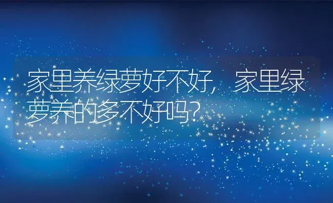 家里养绿萝好不好,家里绿萝养的多不好吗？ | 养殖科普