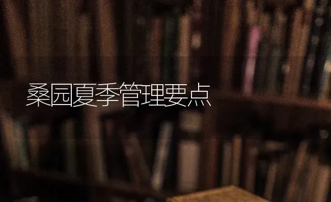 桑园夏季管理要点 | 养殖知识