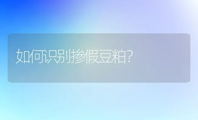 如何识别掺假豆粕? | 养殖知识