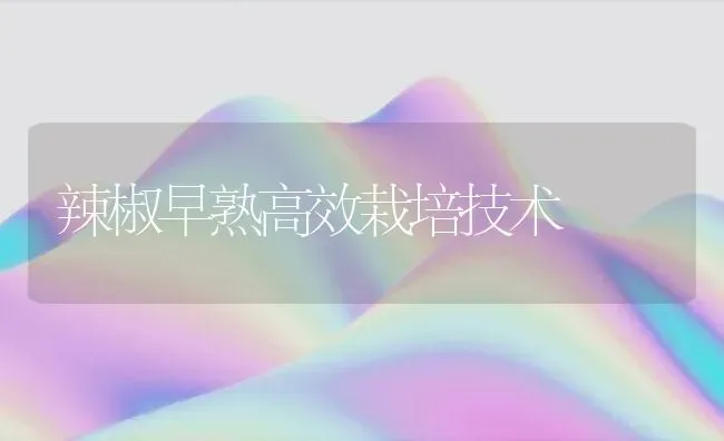 辣椒早熟高效栽培技术 | 养殖技术大全