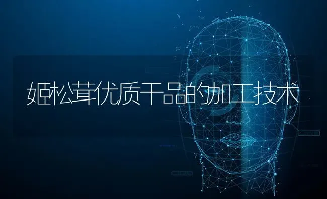 姬松茸优质干品的加工技术 | 养殖技术大全