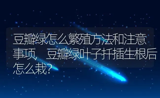 豆瓣绿怎么繁殖方法和注意事项,豆瓣绿叶子扦插生根后怎么栽？ | 养殖科普