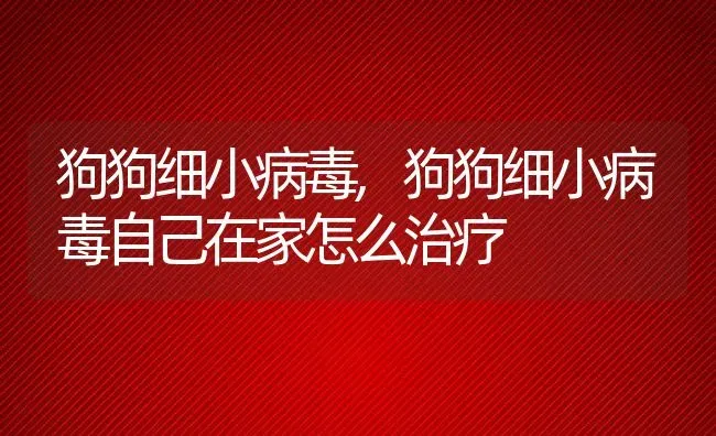 狗狗细小病毒,狗狗细小病毒自己在家怎么治疗 | 养殖科普