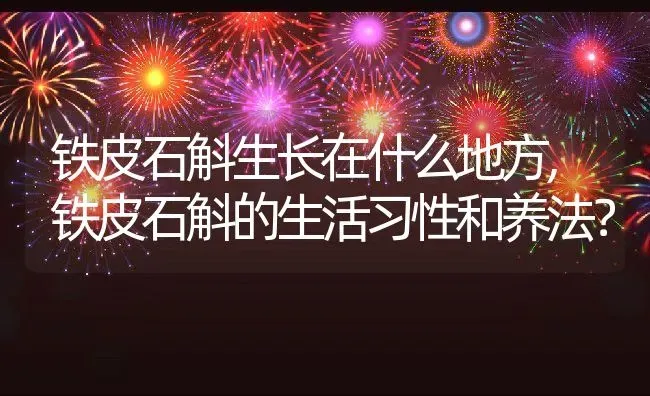 铁皮石斛生长在什么地方,铁皮石斛的生活习性和养法？ | 养殖科普