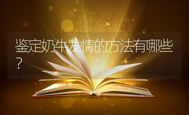 鉴定奶牛发情的方法有哪些? | 养殖知识