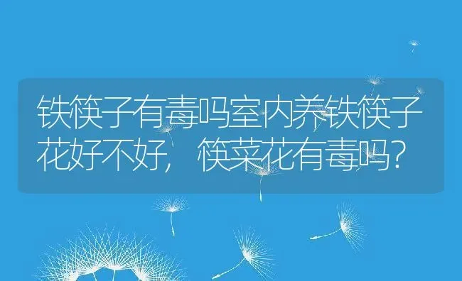 猫不吃不喝能活几天,成年猫不吃不喝能活几天 | 养殖科普