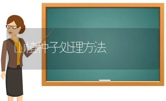 山楂种子处理方法 | 养殖知识