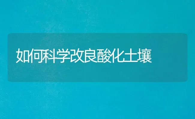 如何科学改良酸化土壤 | 养殖知识