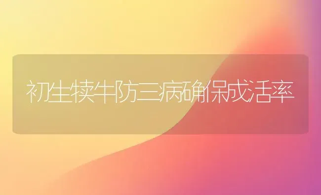 初生犊牛防三病确保成活率 | 养殖知识