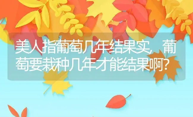 孔雀鱼多久长大,孔雀鱼多久长大繁殖 | 养殖科普