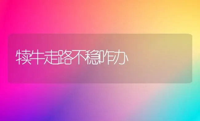 犊牛走路不稳咋办 | 养殖技术大全