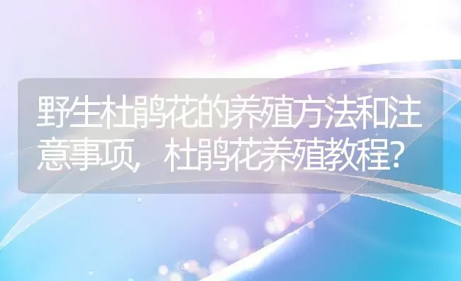 野生杜鹃花的养殖方法和注意事项,杜鹃花养殖教程？ | 养殖科普