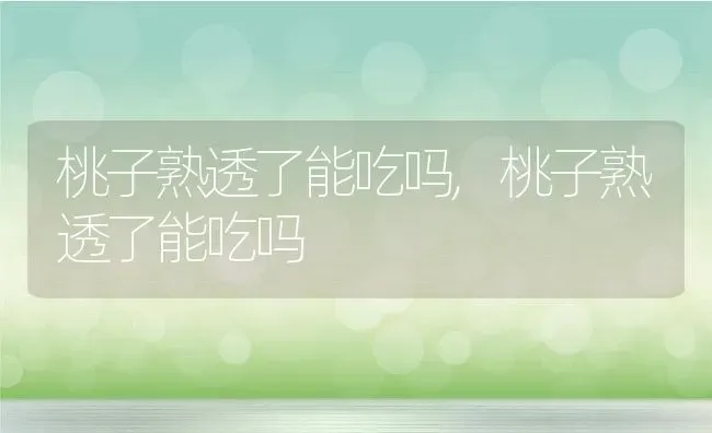 桃子熟透了能吃吗,桃子熟透了能吃吗 | 养殖科普