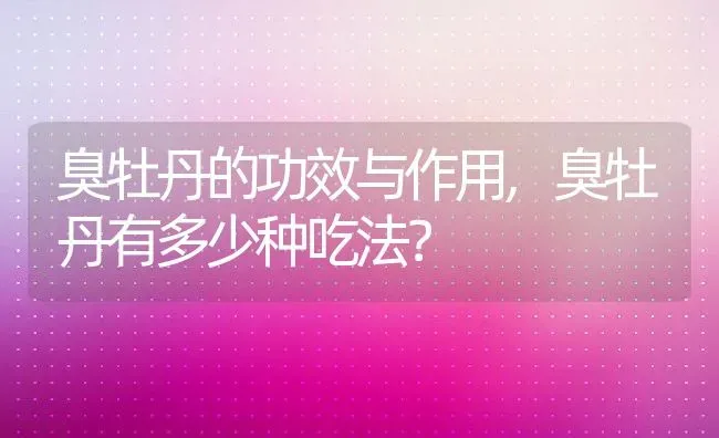 臭牡丹的功效与作用,臭牡丹有多少种吃法？ | 养殖科普