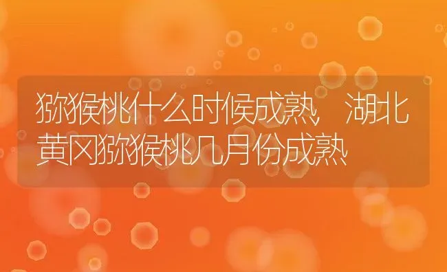 猕猴桃什么时候成熟,湖北黄冈猕猴桃几月份成熟 | 养殖学堂