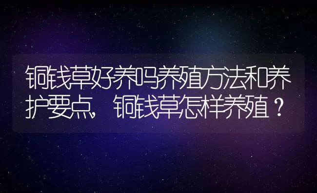 铜钱草好养吗养殖方法和养护要点,铜钱草怎样养殖？ | 养殖科普