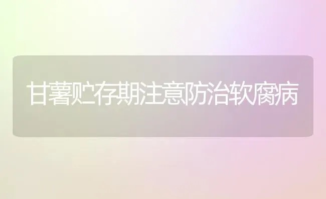 甘薯贮存期注意防治软腐病 | 养殖技术大全