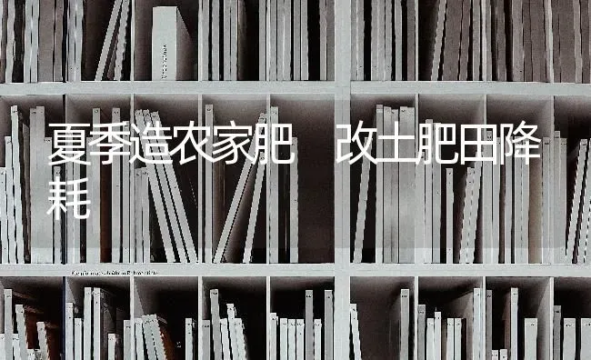 夏季造农家肥 改土肥田降耗 | 养殖技术大全